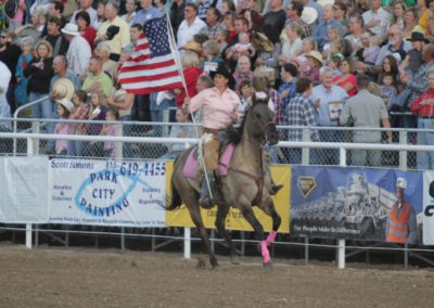 Jockey with the flag in the stadium