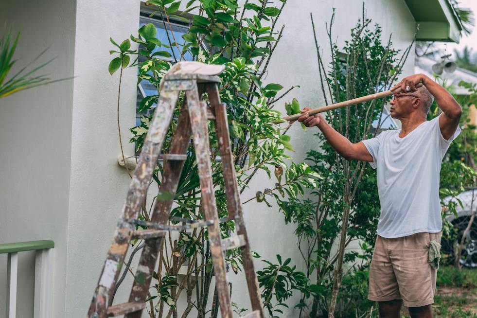 a person is siding the plants with a stick